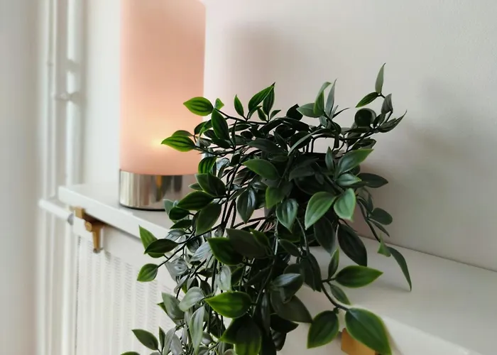 Le Ravissant Merveilleux F3 Avec Vue A * Руан